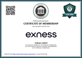 Comprehensive Guide to Exness MT4 Download for Windows 5 Comprehensive Guide to Exness MT4 Download for Windows 5